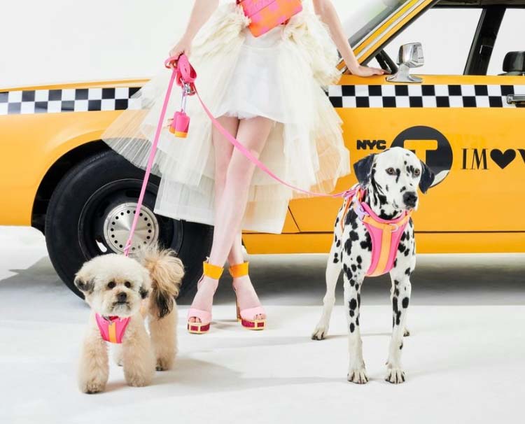 Featured image for “WildOne X Isaac Mizrahi Dog Couture”