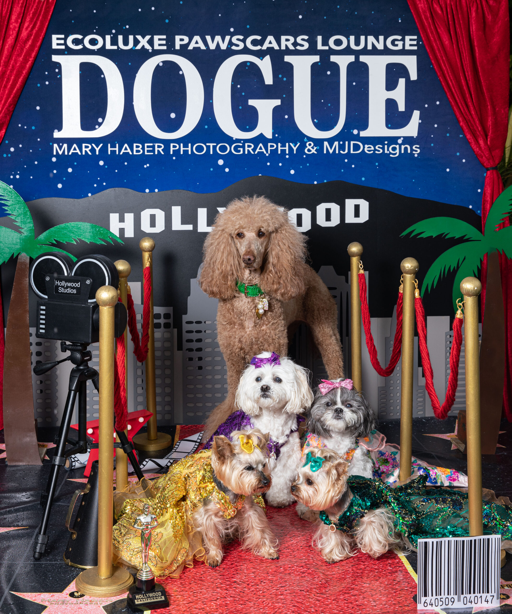 Featured image for “Dog Celebrities Celebrate the Oscars 2023 at the Beverly Hilton in Beverly Hills”
