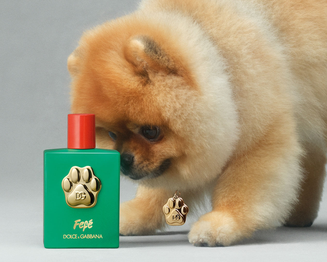 Featured image for “Dolce & Gabbana Launches a Dog Perfume!”