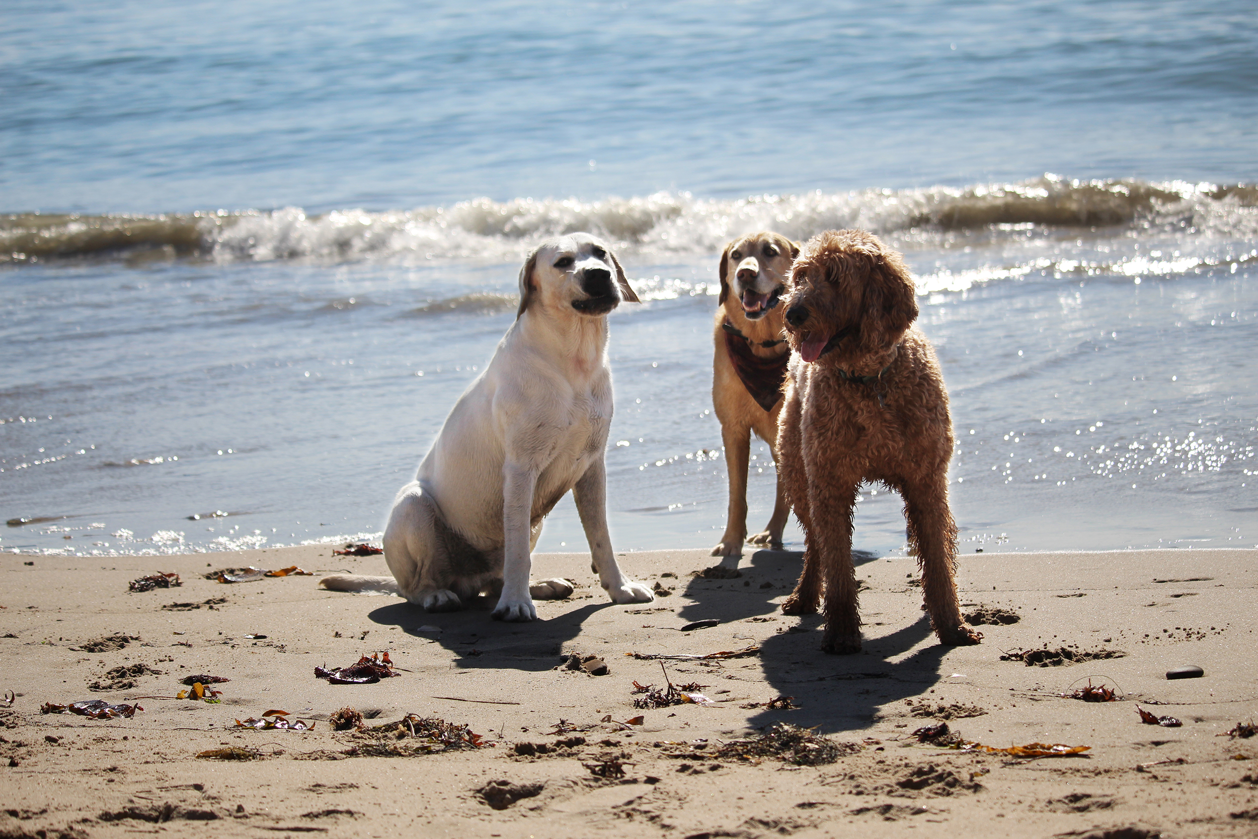 Featured image for “A Day with Bobby Costner In Santa Barbara”