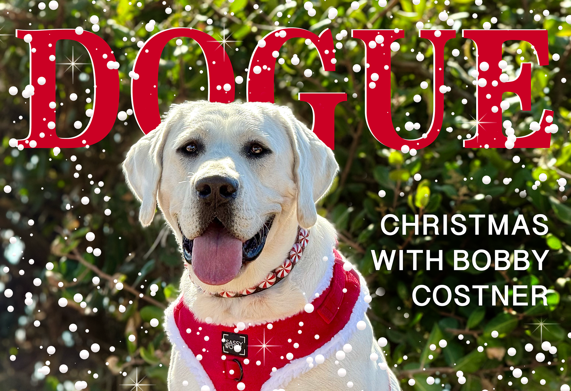 Featured image for “Christmas with Bobby Costner: Out Now!”