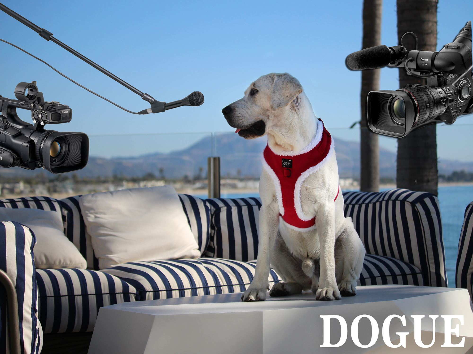 Featured image for “Behind the scenes of Bobby Costner’s DOGUE shoot!”