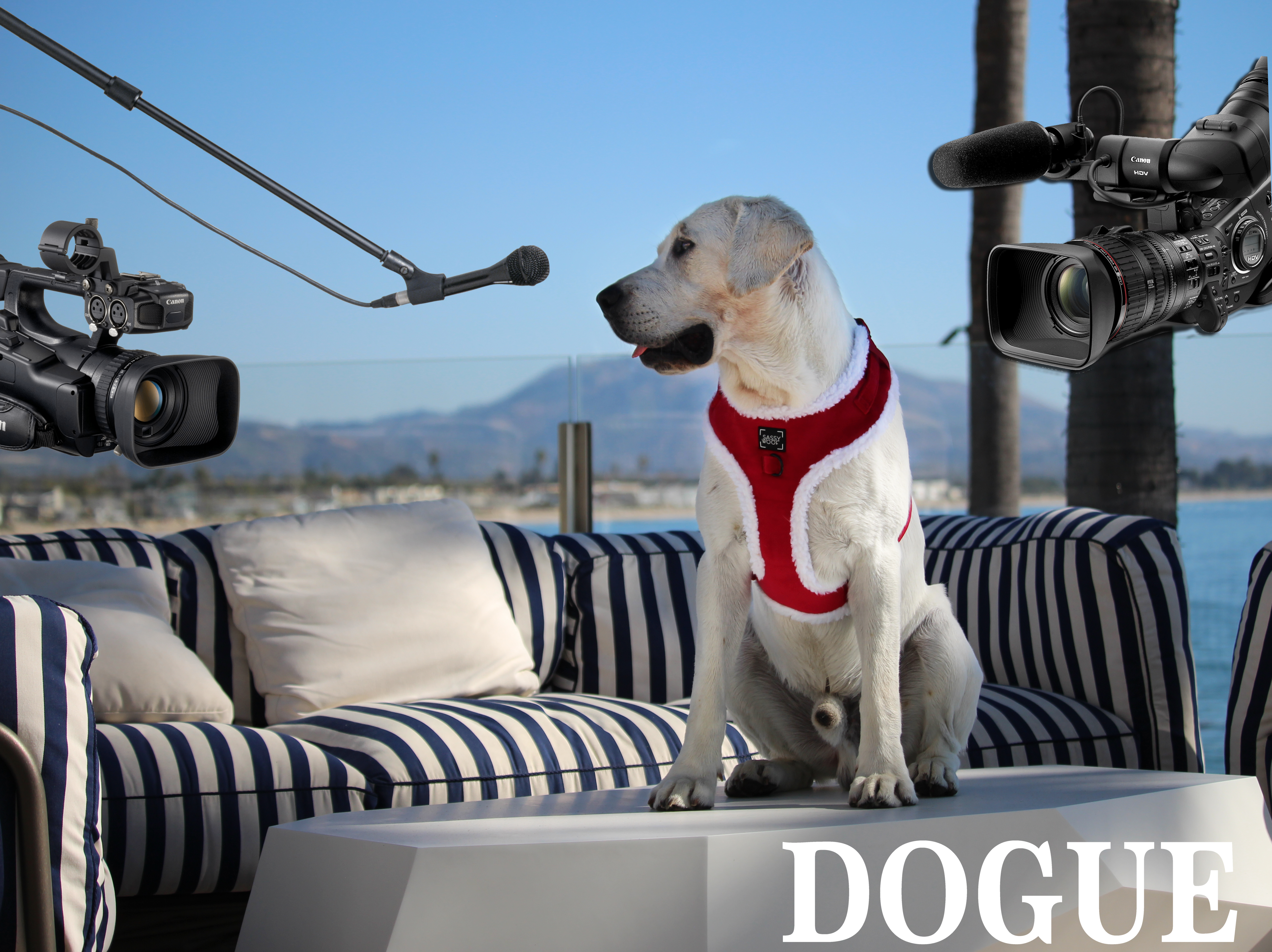 Featured image for “Behind the scenes of Bobby Costner’s DOGUE shoot!”