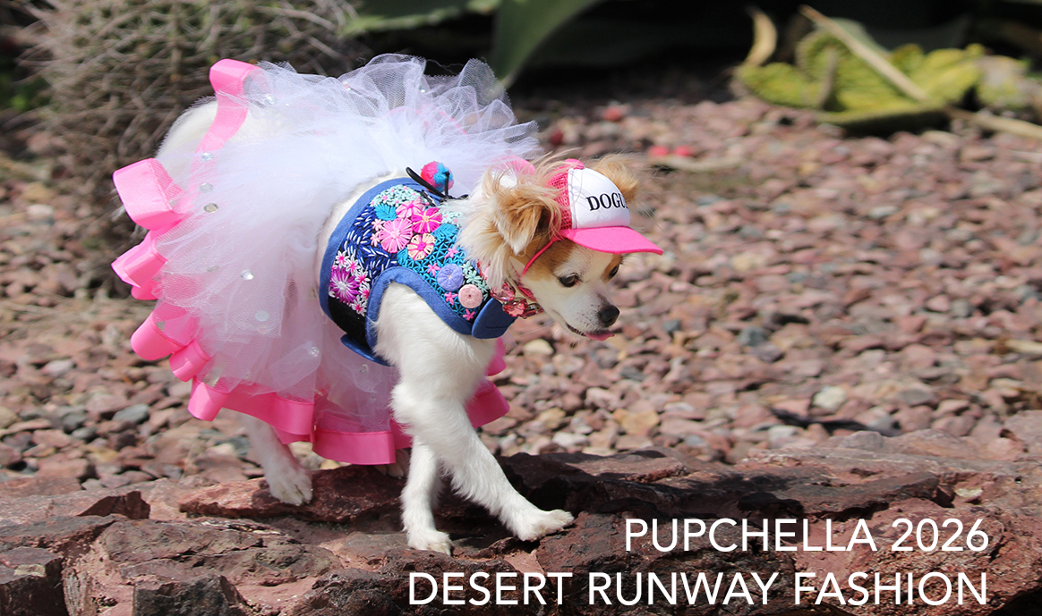 Featured image for “Pawchella Weekend Is Here: DOGUE Fashion Models Take Over the Desert”