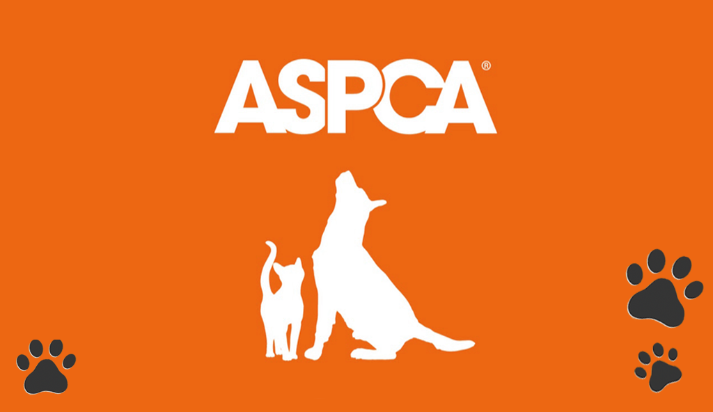 Featured image for “160 Years of Compassion: The Legacy of the ASPCA”