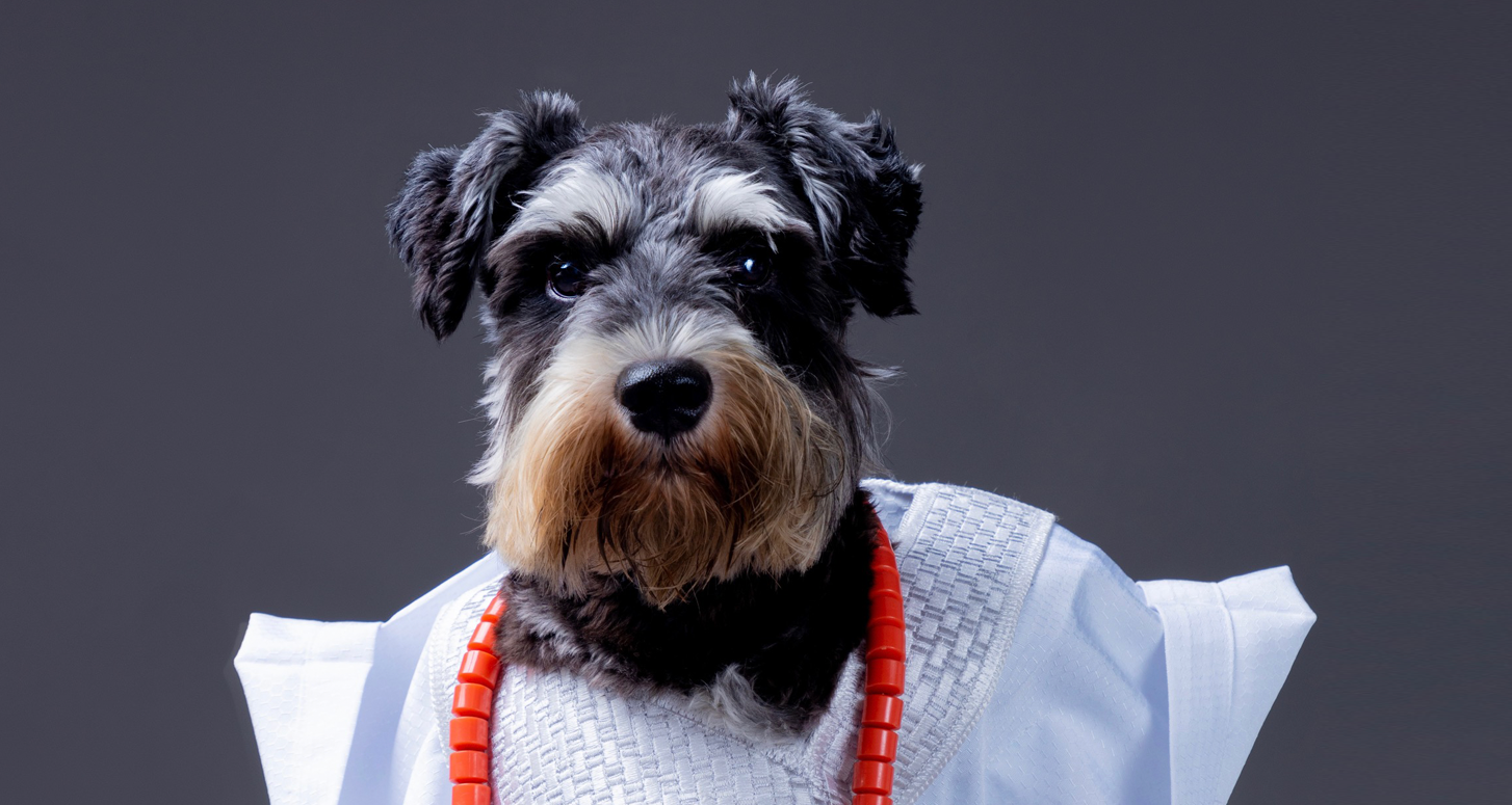 Featured image for “Oreoluwa & Duke: The Duo That Stole the Internet’s Heart”